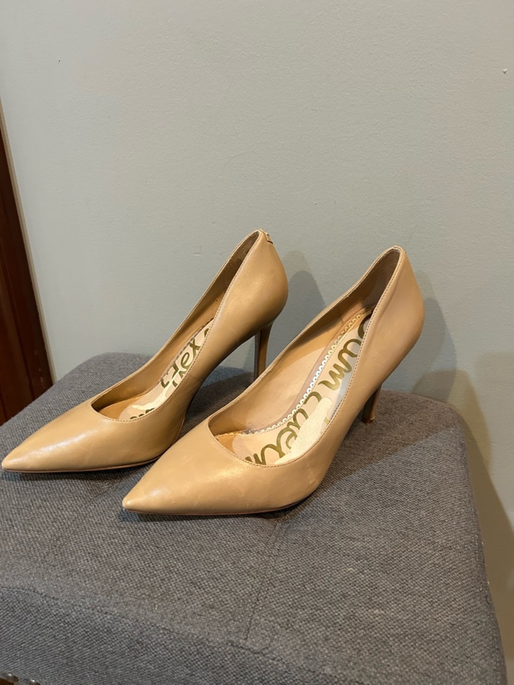 Sam Edelman Hazel Nude Leather Pointed Toe Pumps Heels 10W